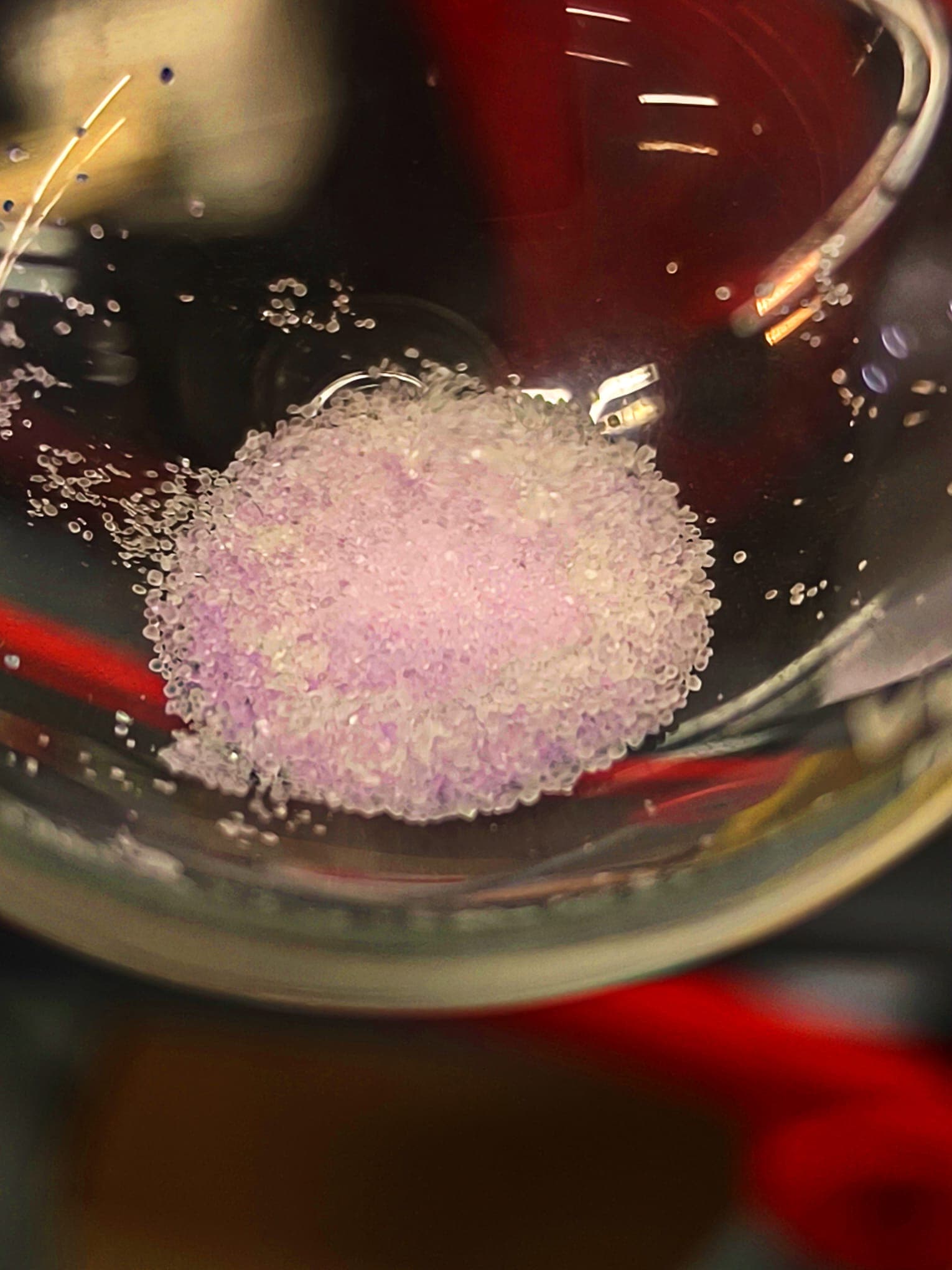 Bioquantum physics at the student academy